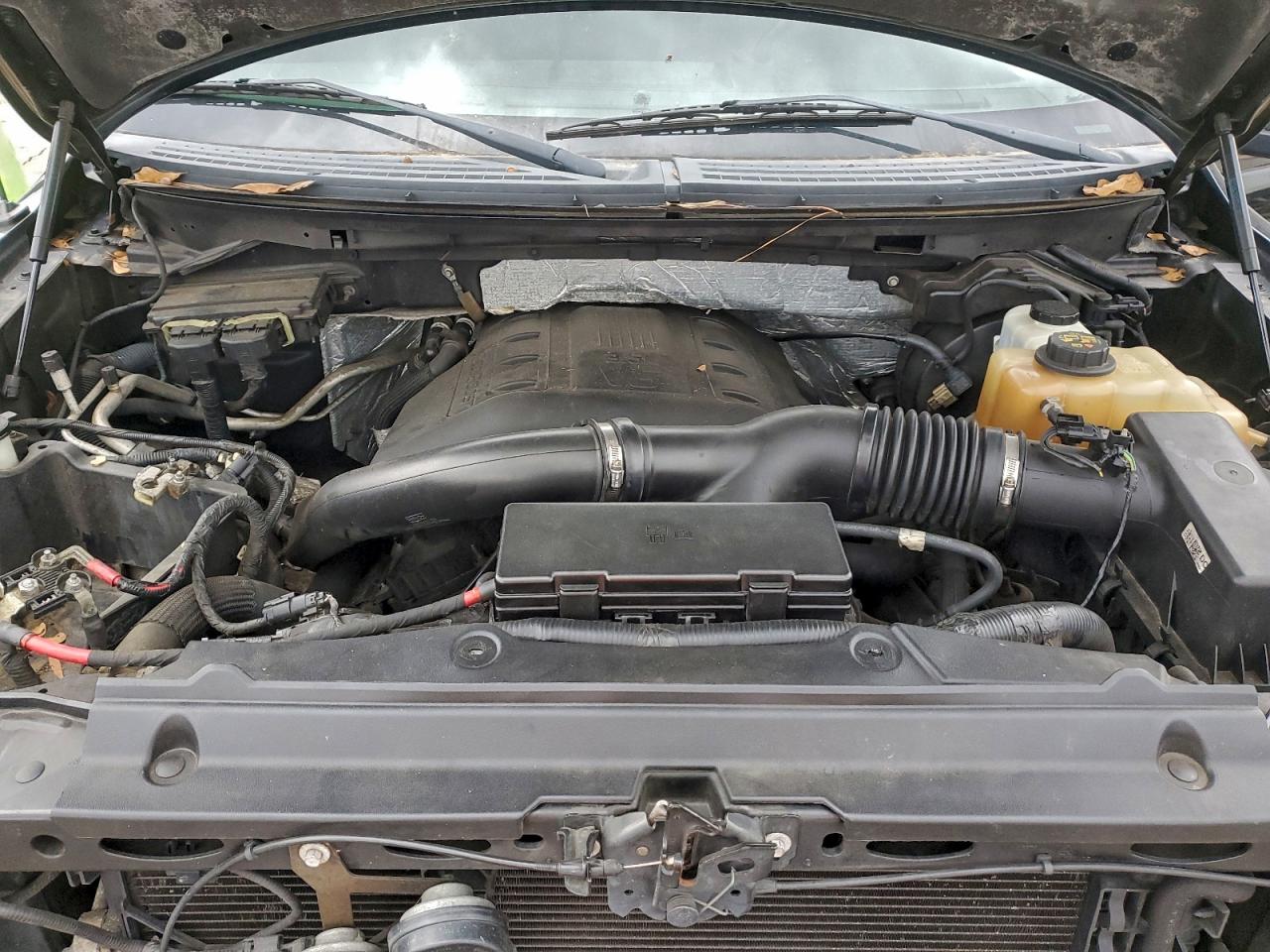 2013 FORD F150 SUPERCREW photo 11