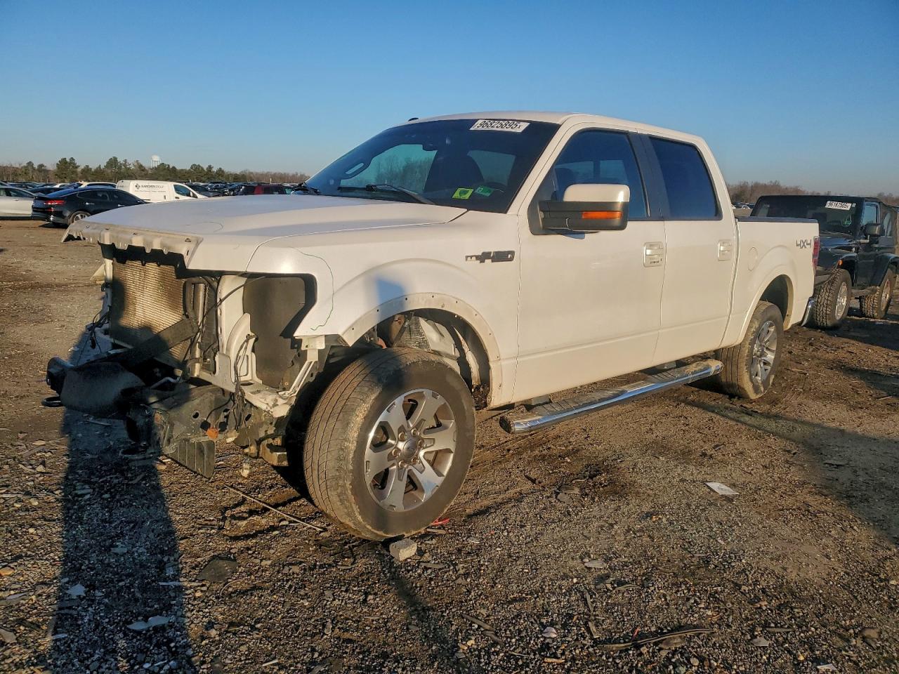 2010 FORD F150