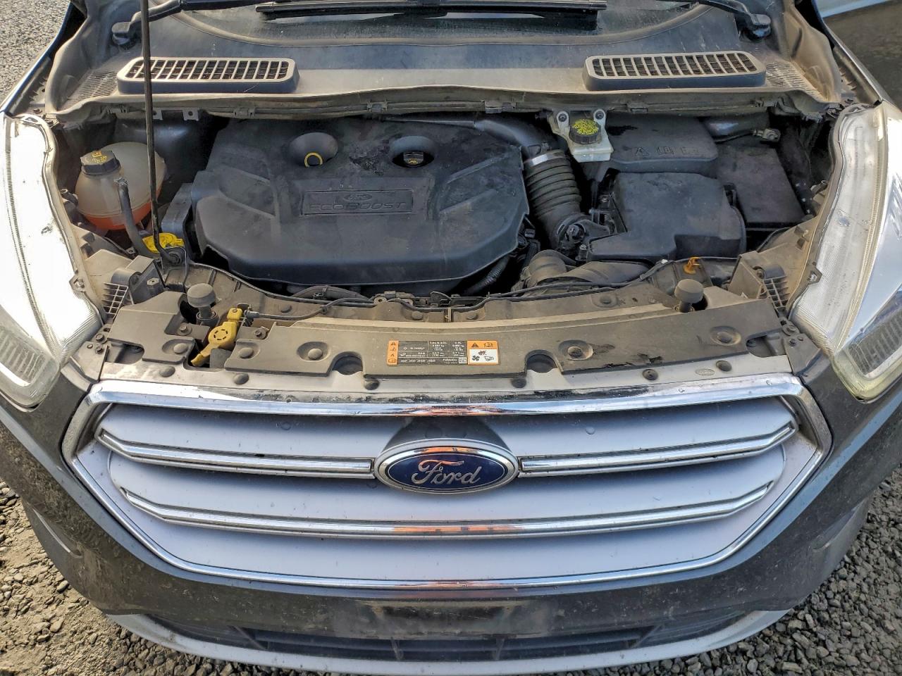 2017 FORD ESCAPE SE photo 12