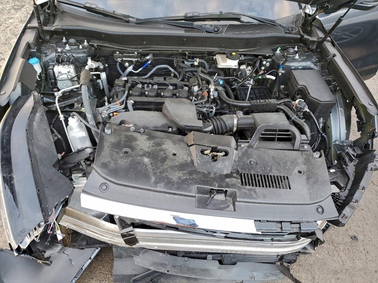 2025 HONDA CR-V EX photo 12