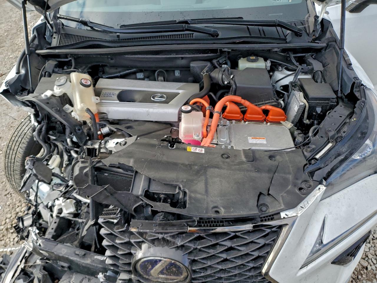 2021 LEXUS NX 300H BASE photo 12