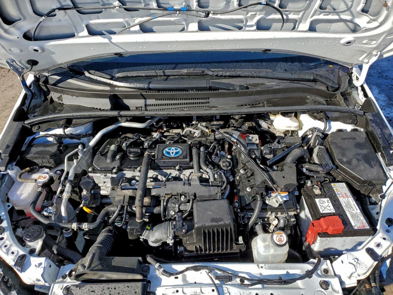 2024 TOYOTA COROLLA LE photo 11