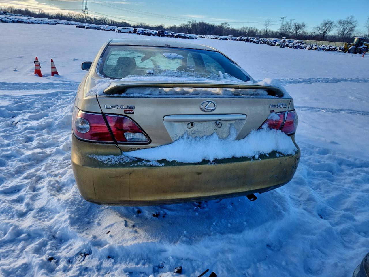 2002 LEXUS ES 300 photo 6