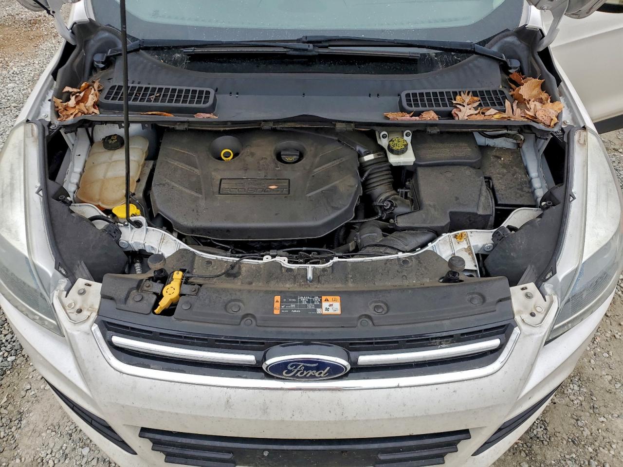 2014 FORD ESCAPE TITANIUM photo 12