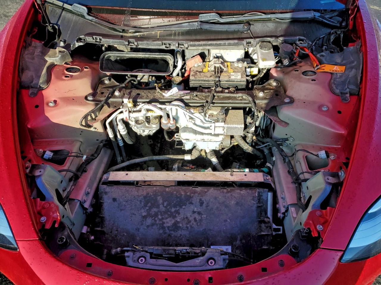 2020 TESLA MODEL 3 photo 11