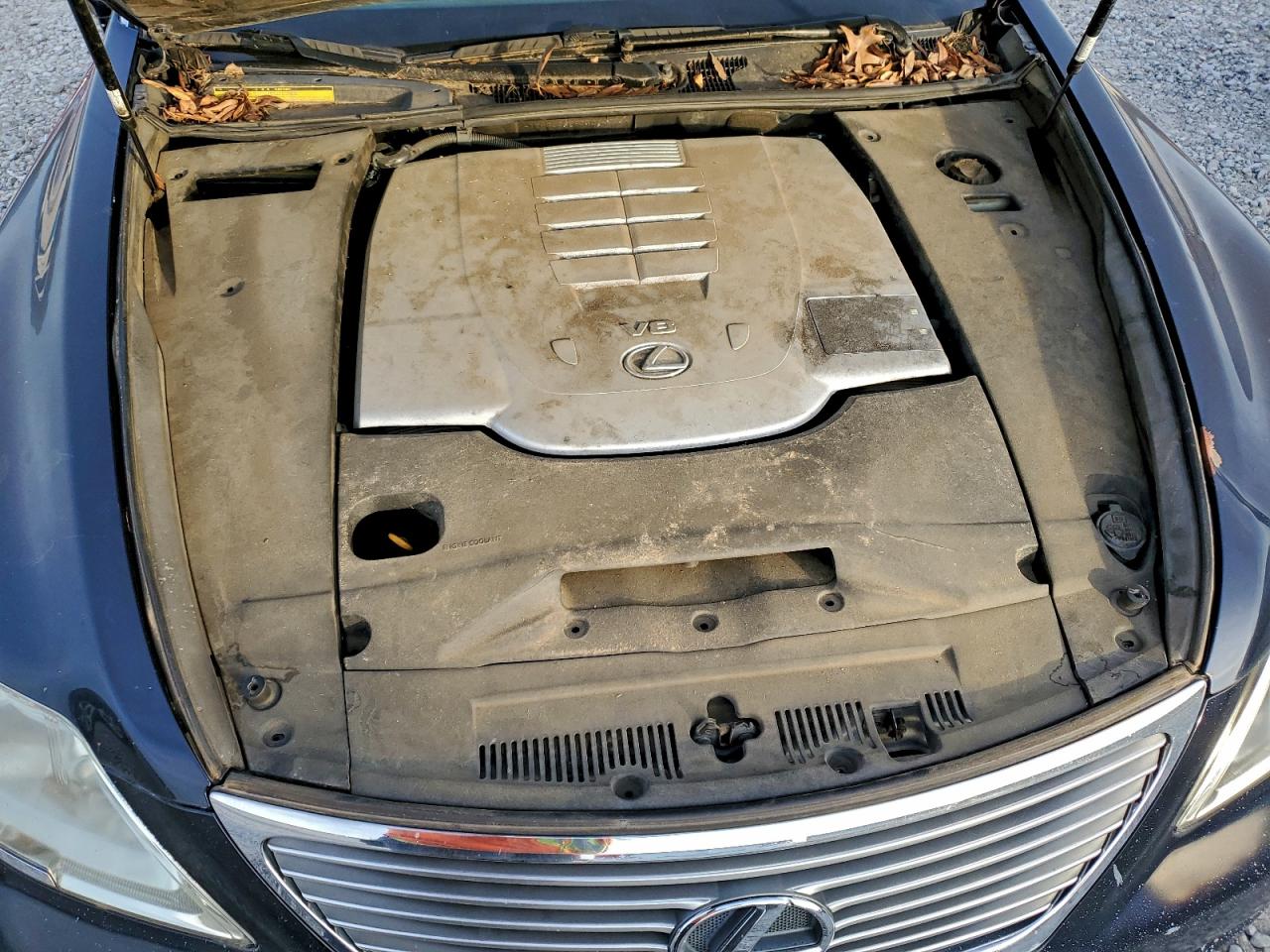 2007 LEXUS LS 460 photo 11