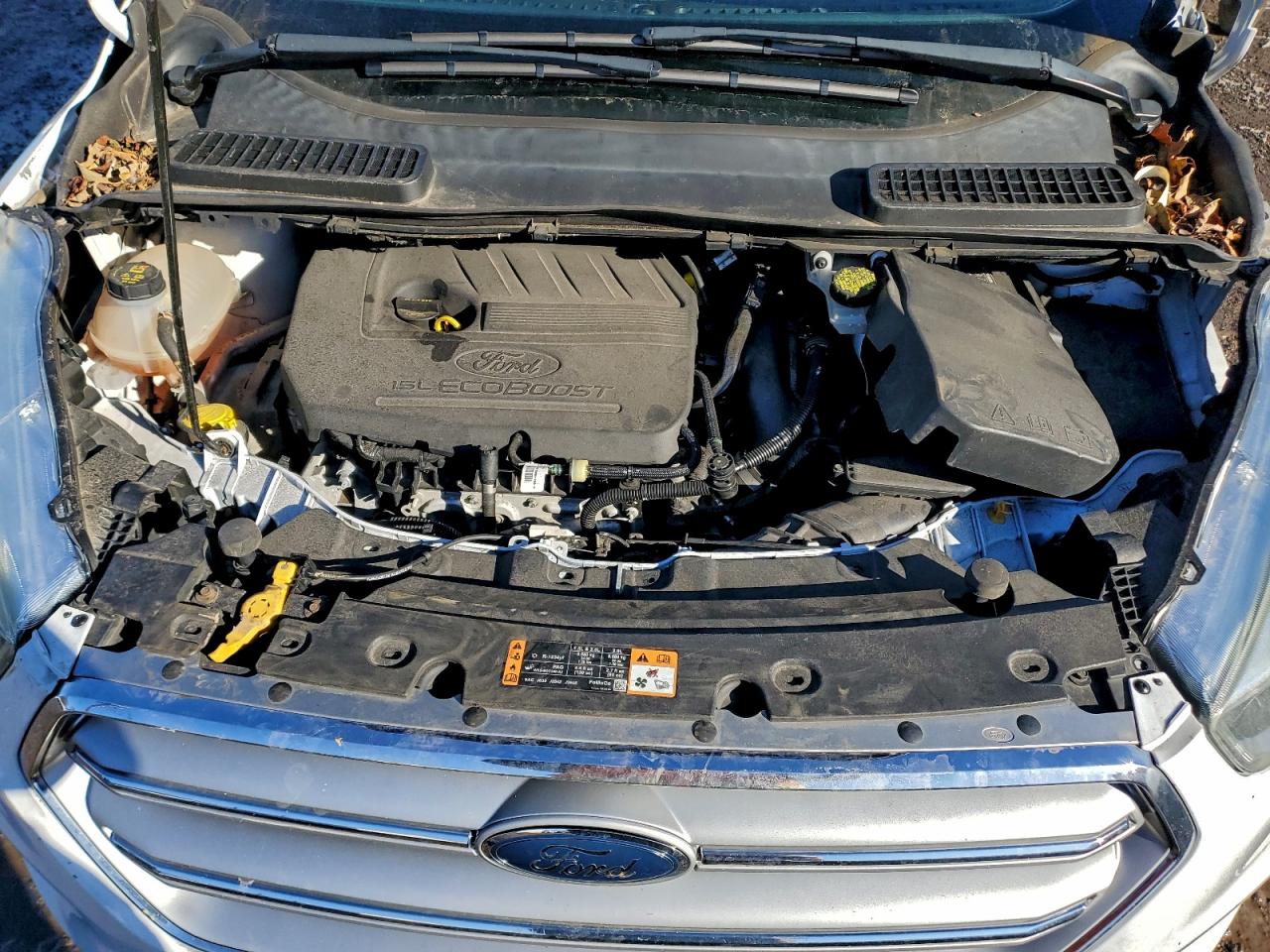 2017 FORD ESCAPE SE photo 12