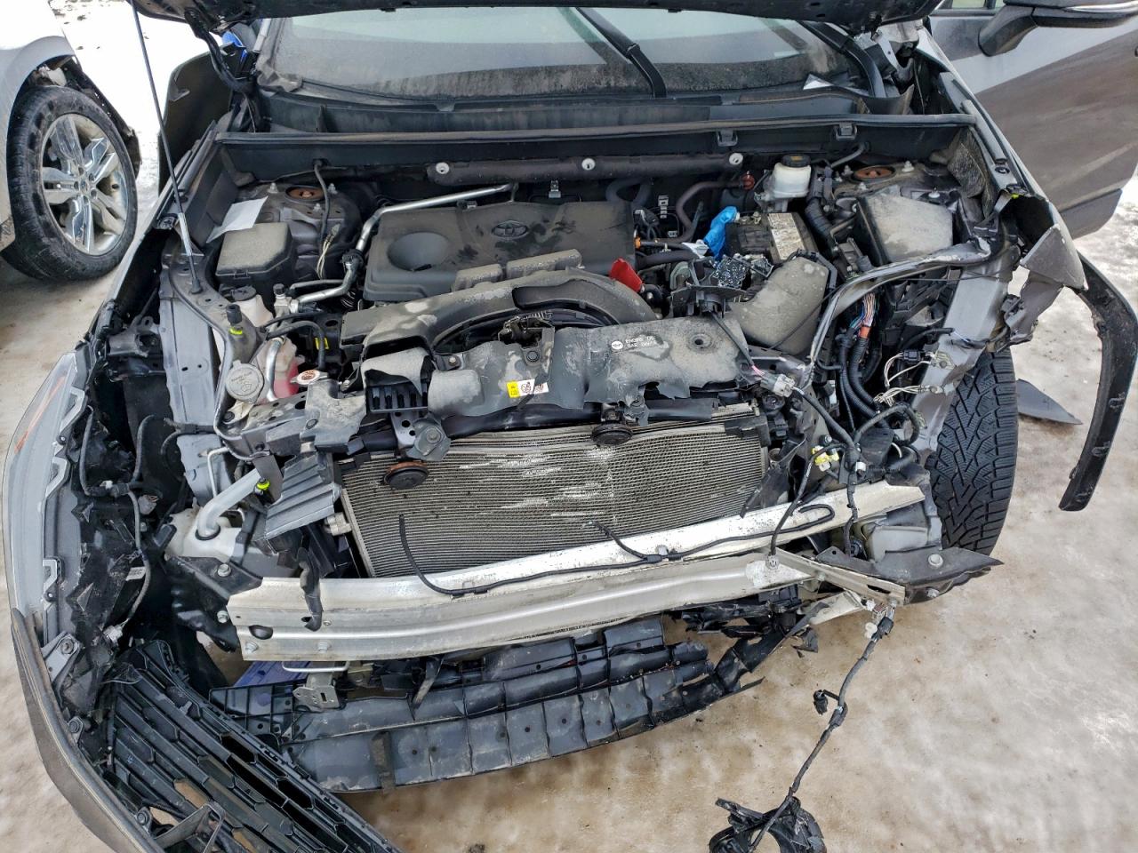 2019 TOYOTA RAV4 XLE photo 12