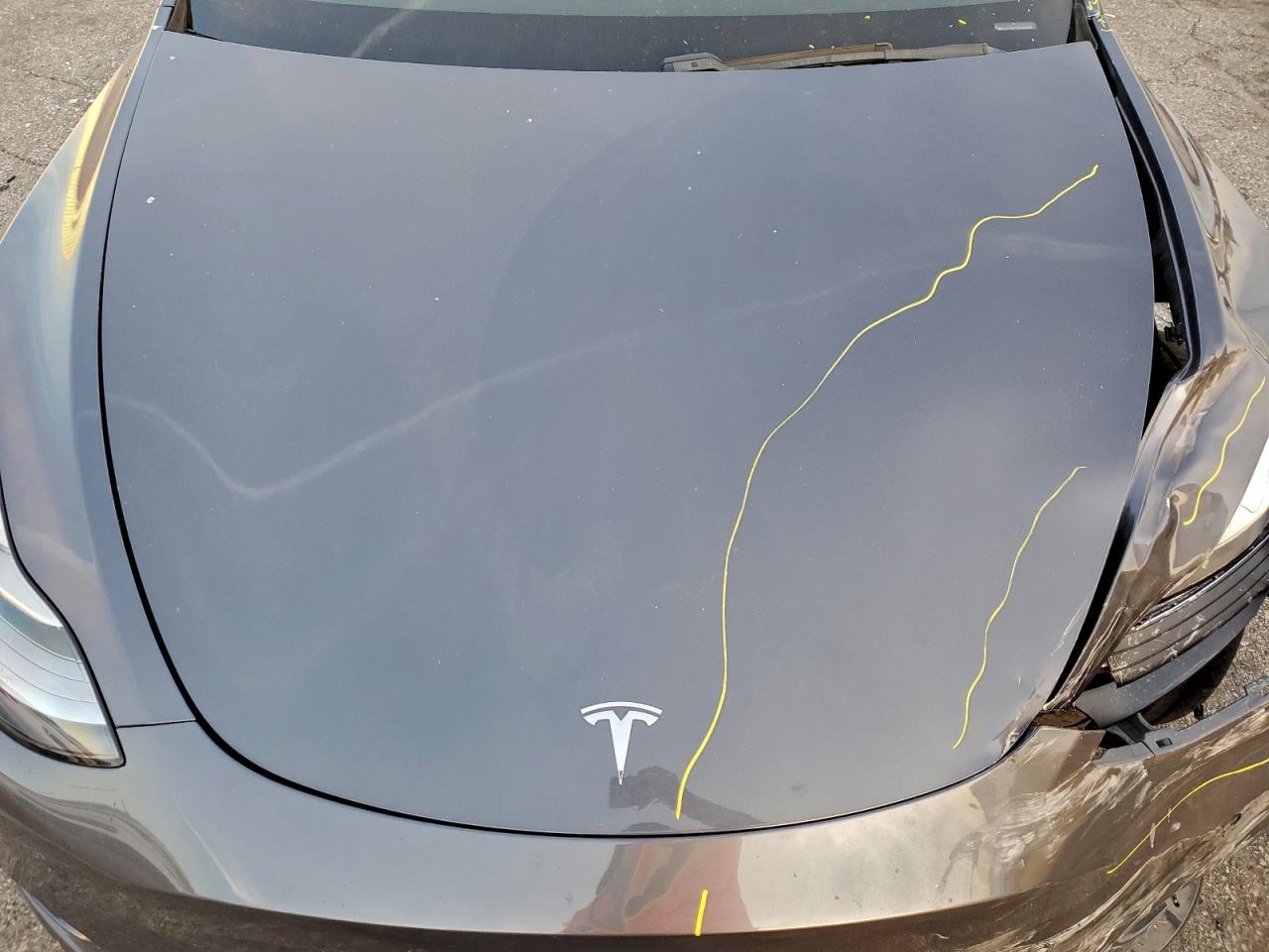 2021 TESLA MODEL Y photo 12