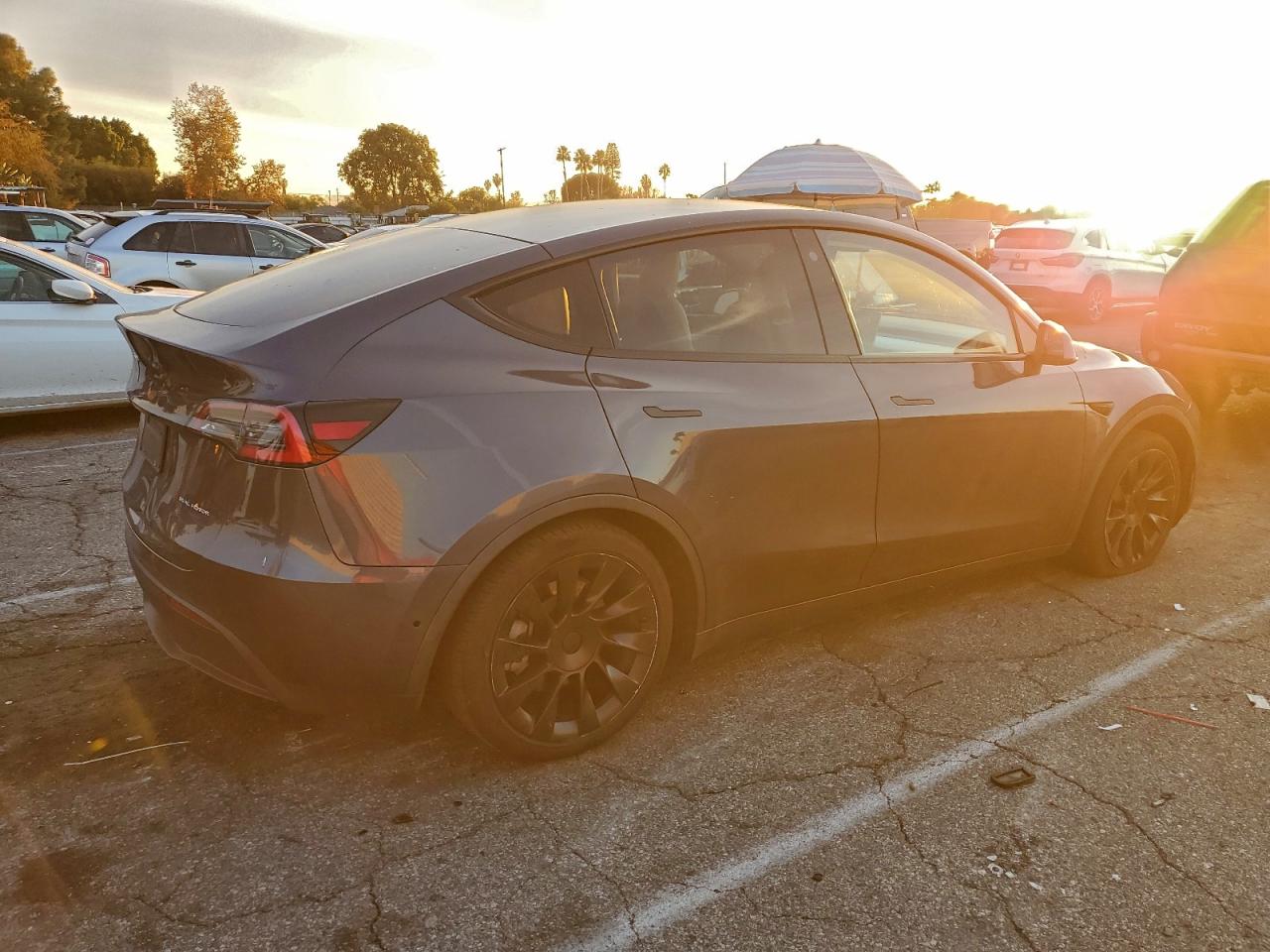 2021 TESLA MODEL Y photo 3