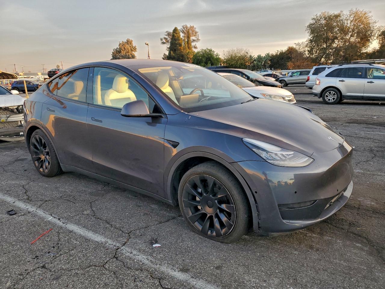 2021 TESLA MODEL Y photo 4