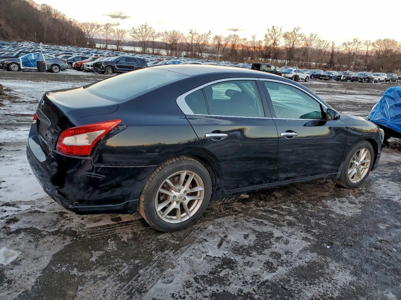 2010 NISSAN MAXIMA S photo 3