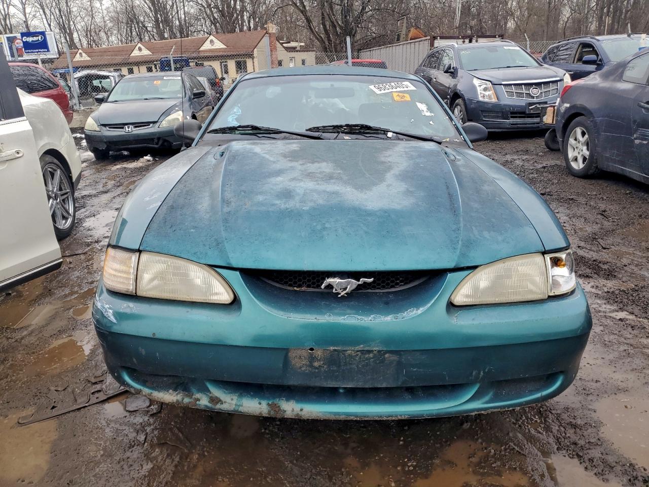 1996 FORD MUSTANG photo 5