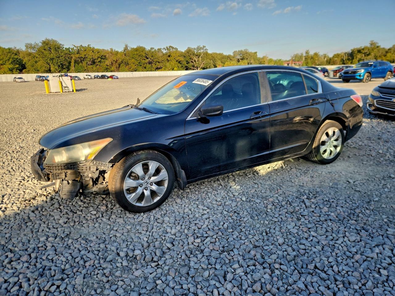 2009 HONDA ACCORD