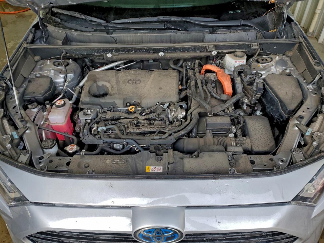 2024 TOYOTA RAV4 XLE photo 12