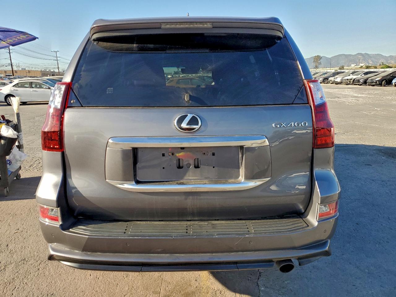 2021 LEXUS GX 460 PREMIUM photo 6