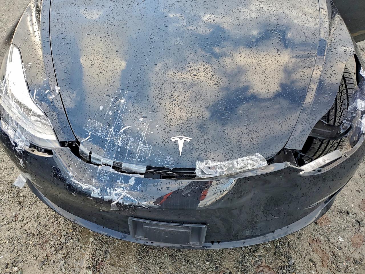 2022 TESLA MODEL 3 photo 11