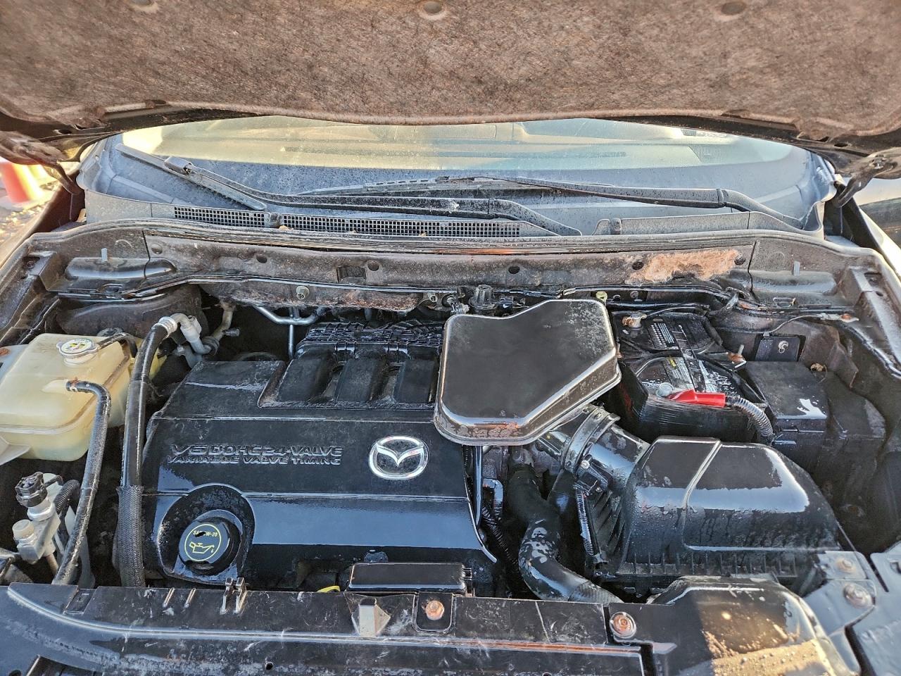2010 MAZDA CX-9 photo 12