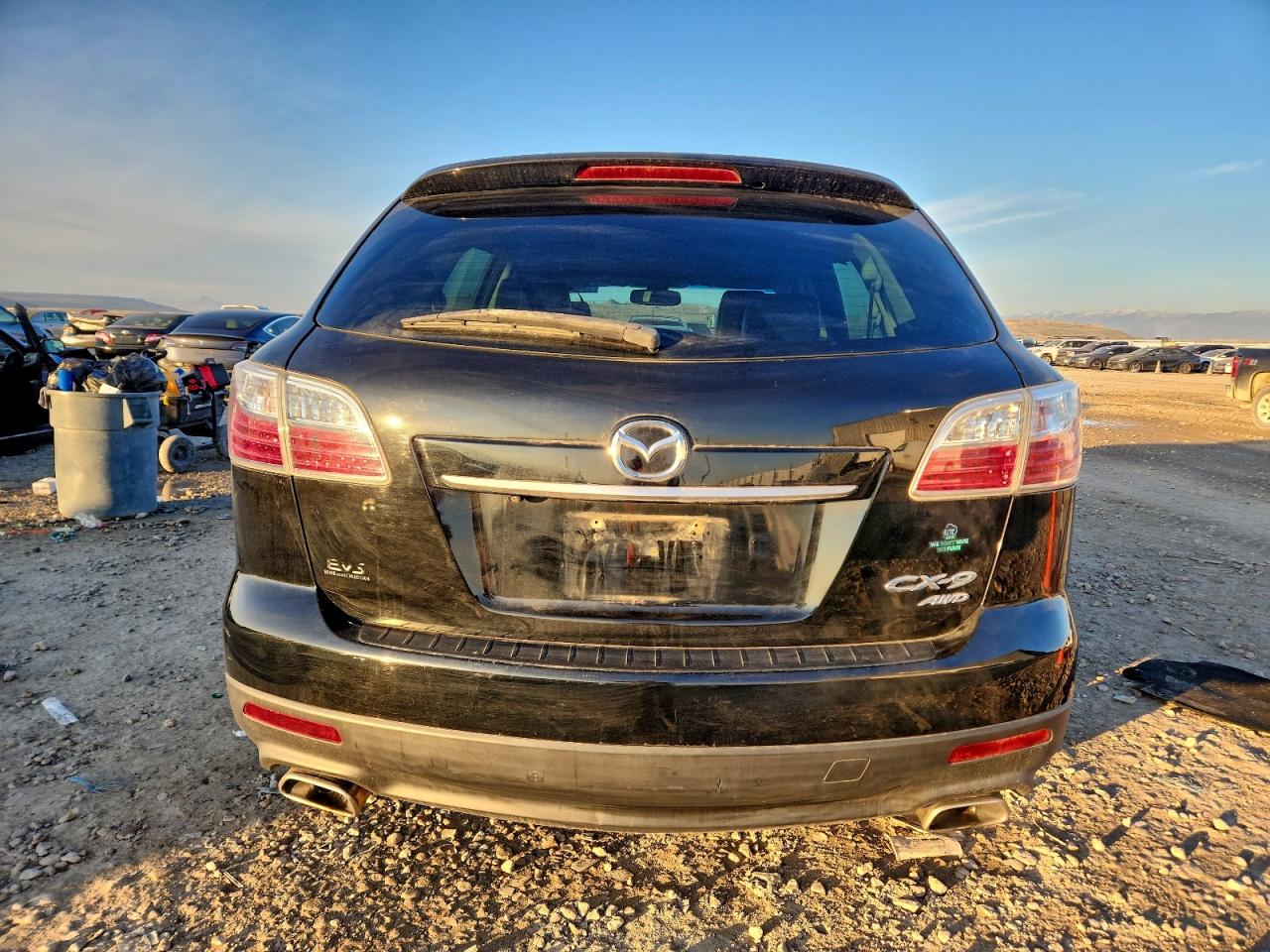 2010 MAZDA CX-9 photo 6