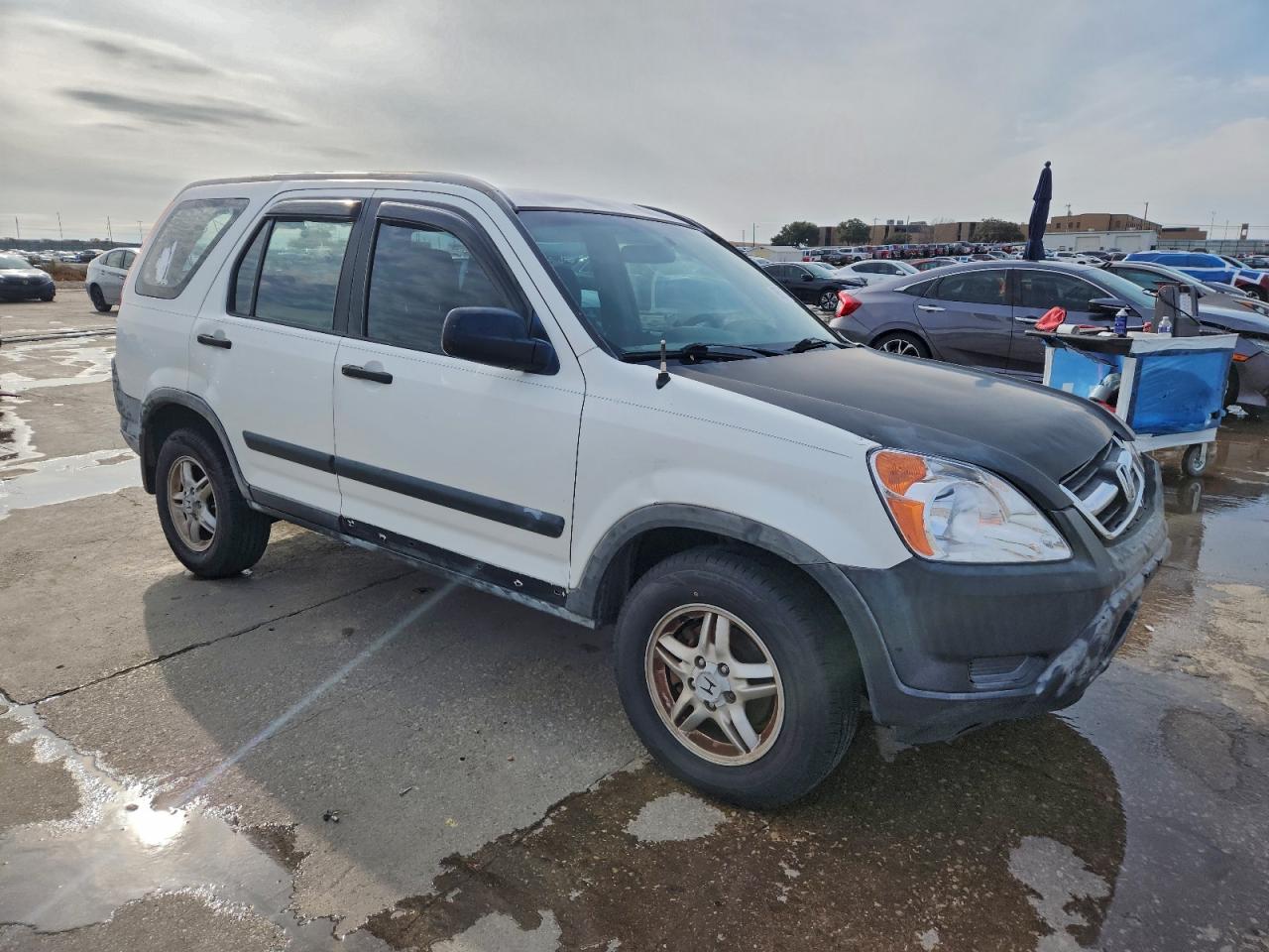 2004 HONDA CR-V LX photo 4