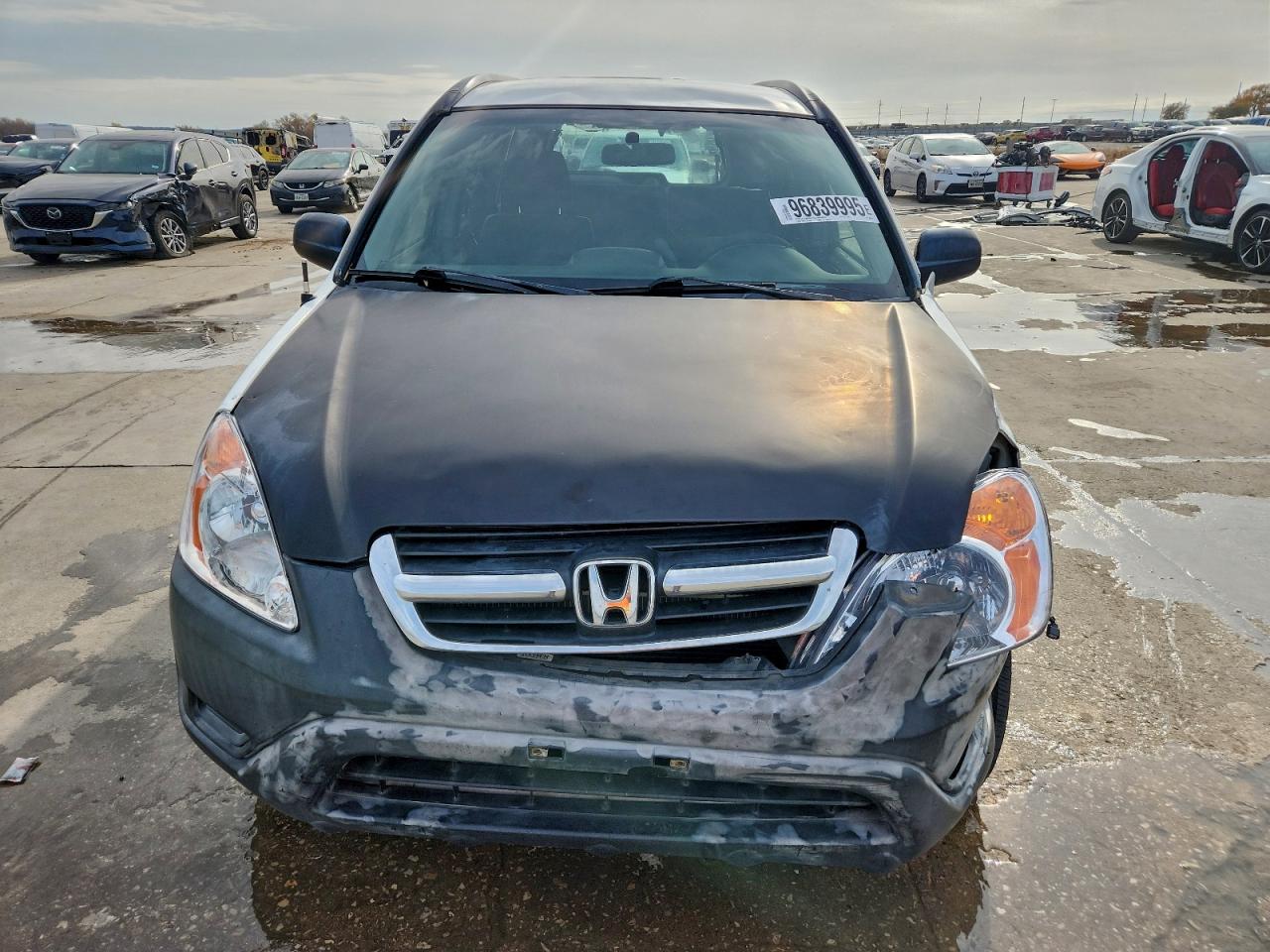 2004 HONDA CR-V LX photo 5