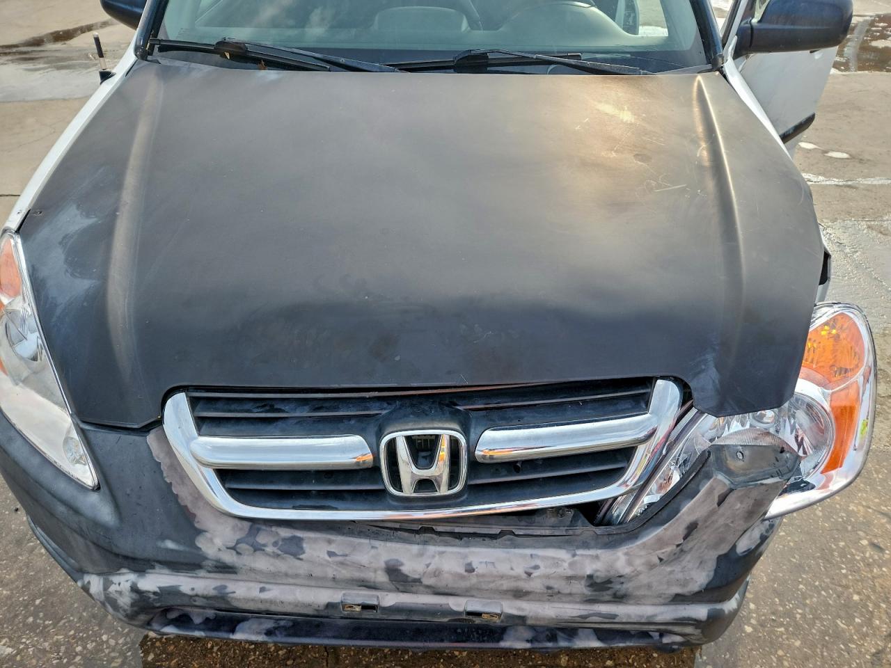 2004 HONDA CR-V LX photo 11