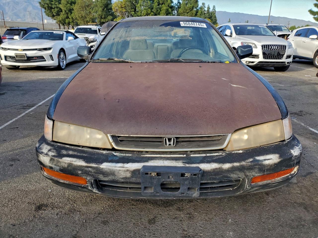 1996 HONDA ACCORD EX photo 5