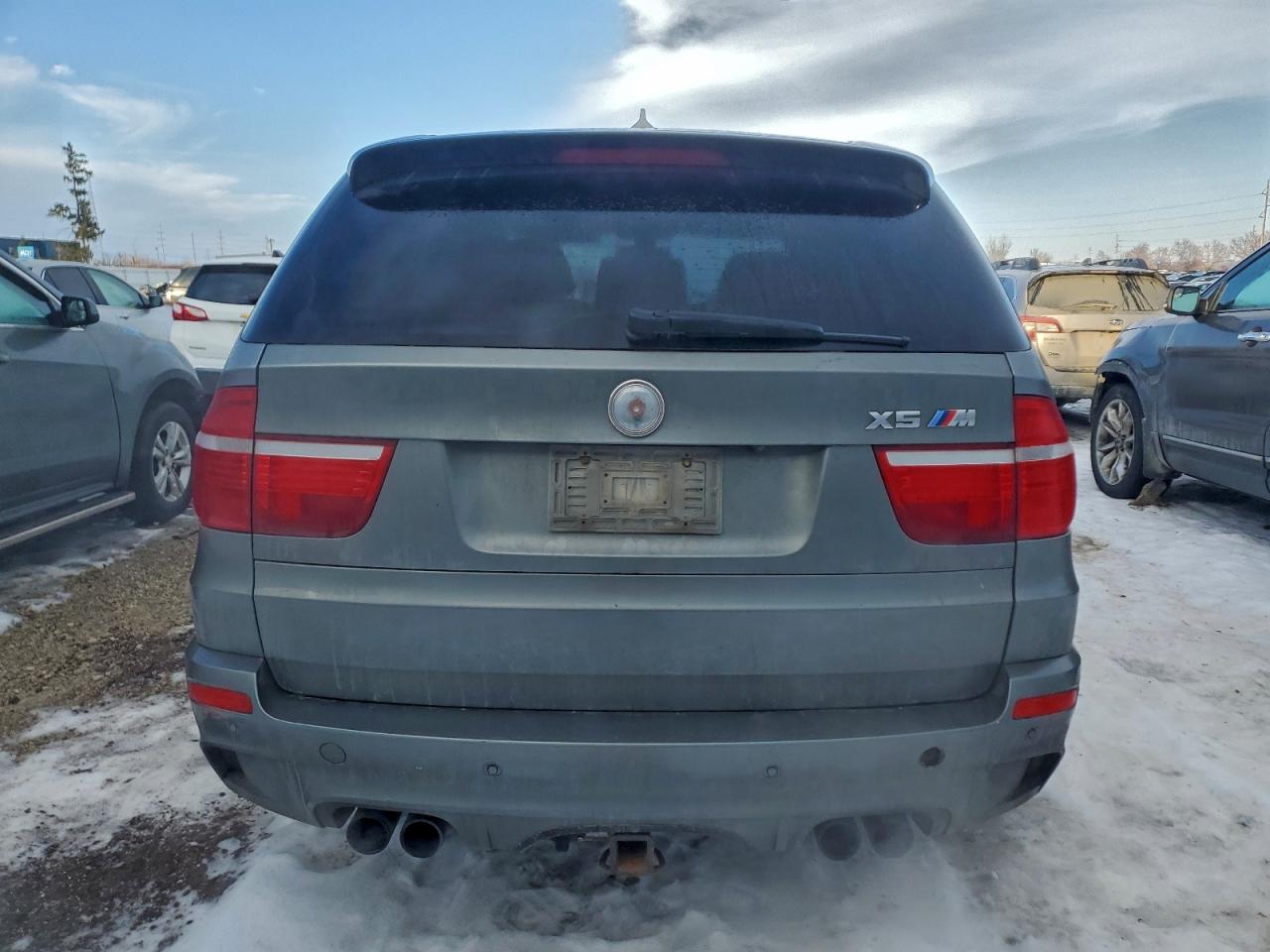 2010 BMW X5 M photo 6