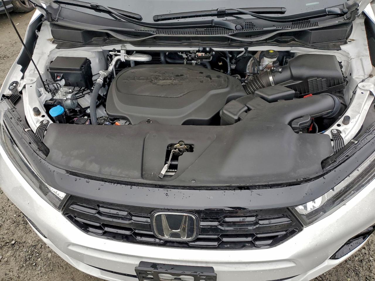 2025 HONDA ODYSSEY ELITE photo 12