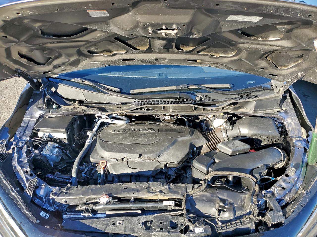 2025 HONDA ODYSSEY EXL photo 12