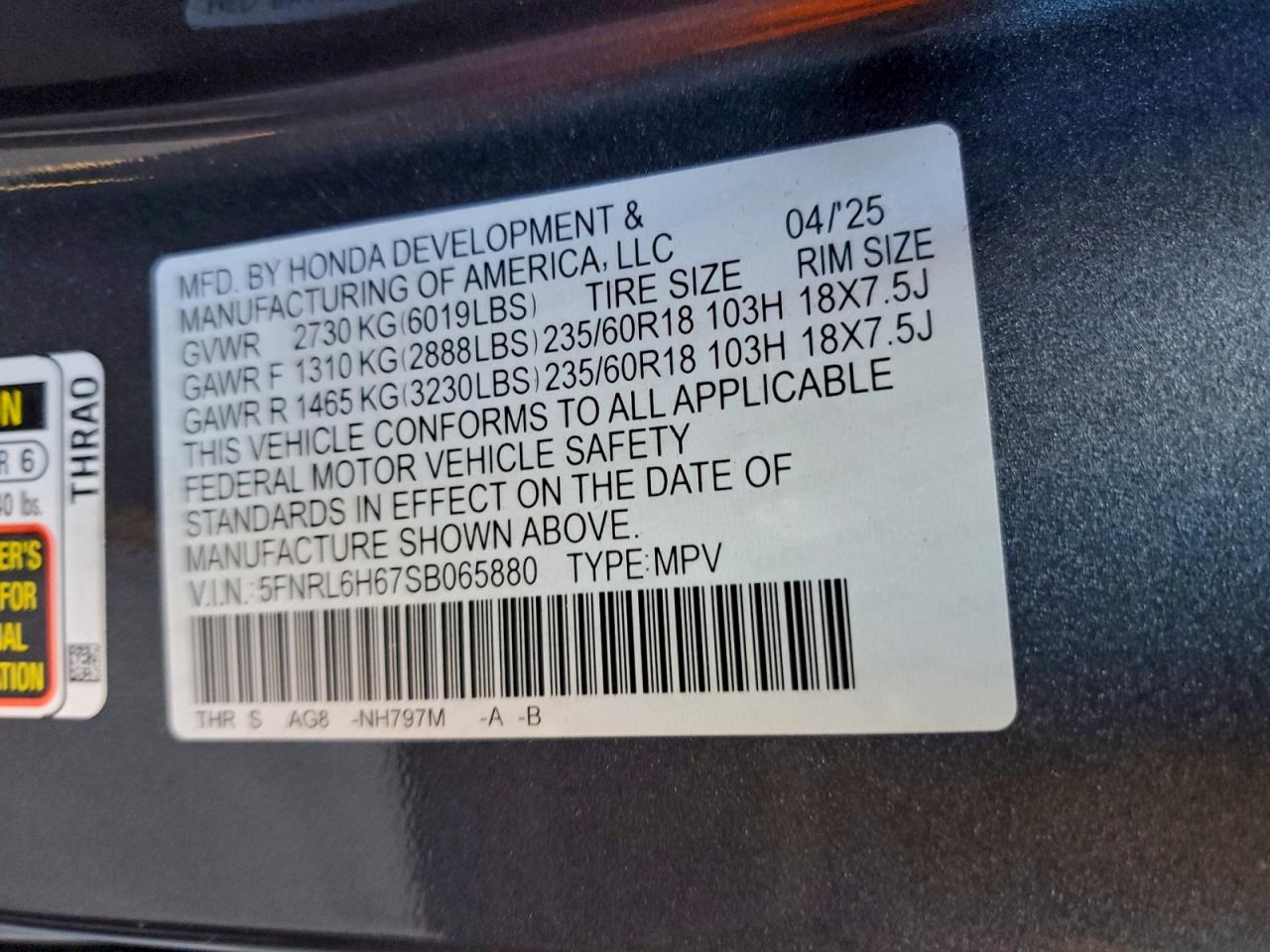 2025 HONDA ODYSSEY EXL photo 13
