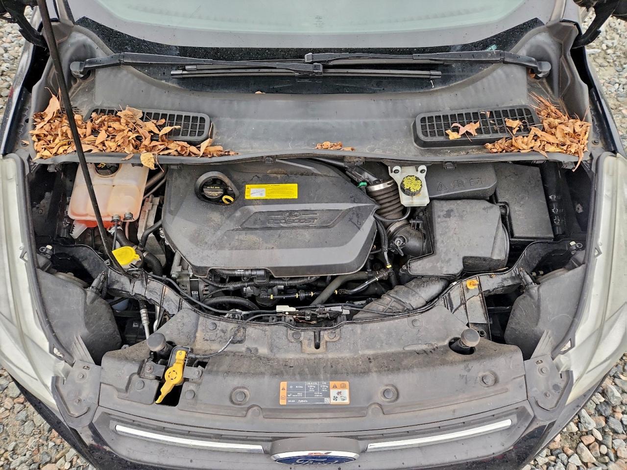 2016 FORD ESCAPE SE photo 12
