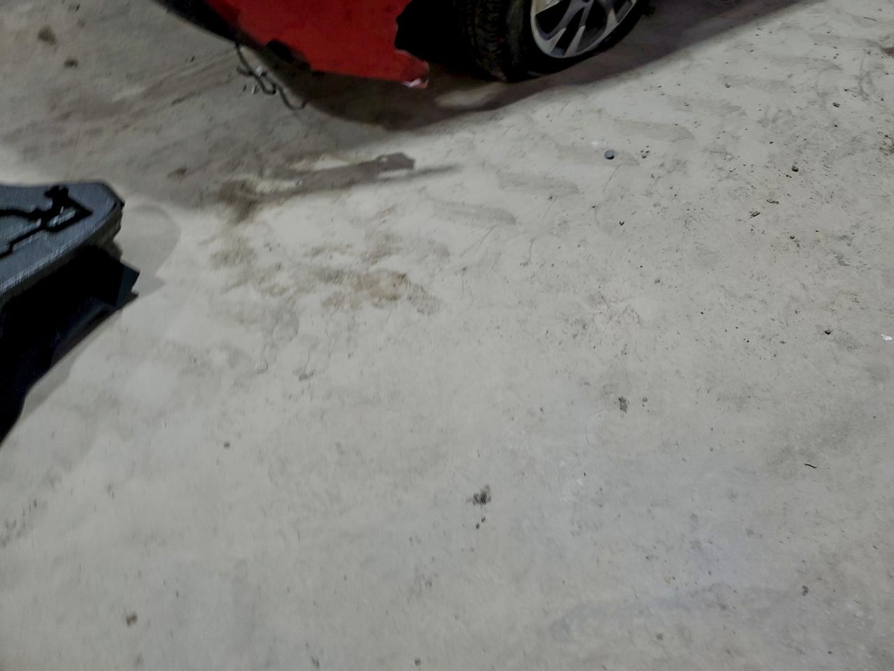 2019 TOYOTA PRIUS photo 3