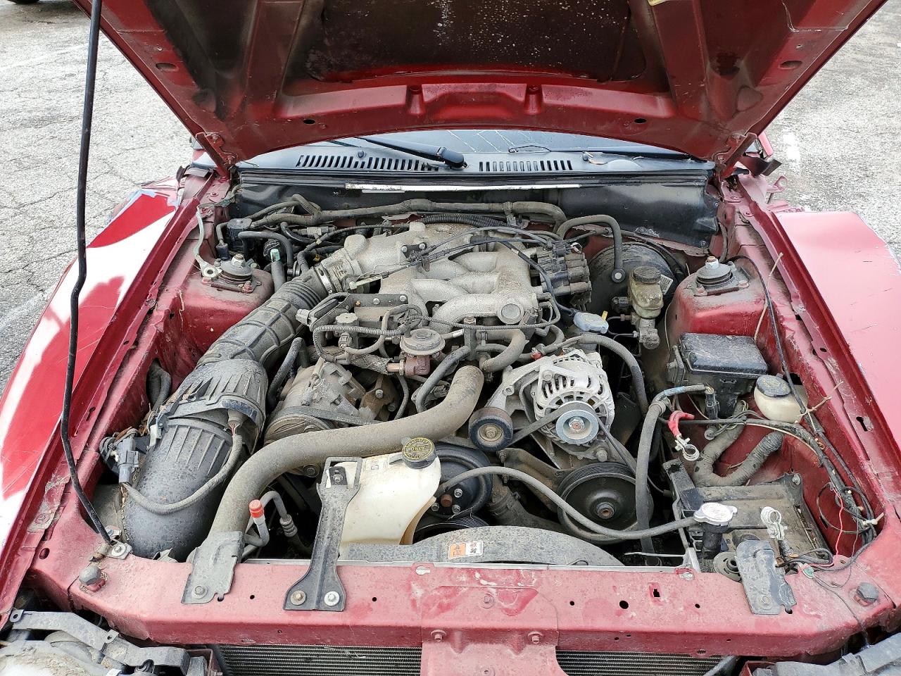 2004 FORD MUSTANG photo 11