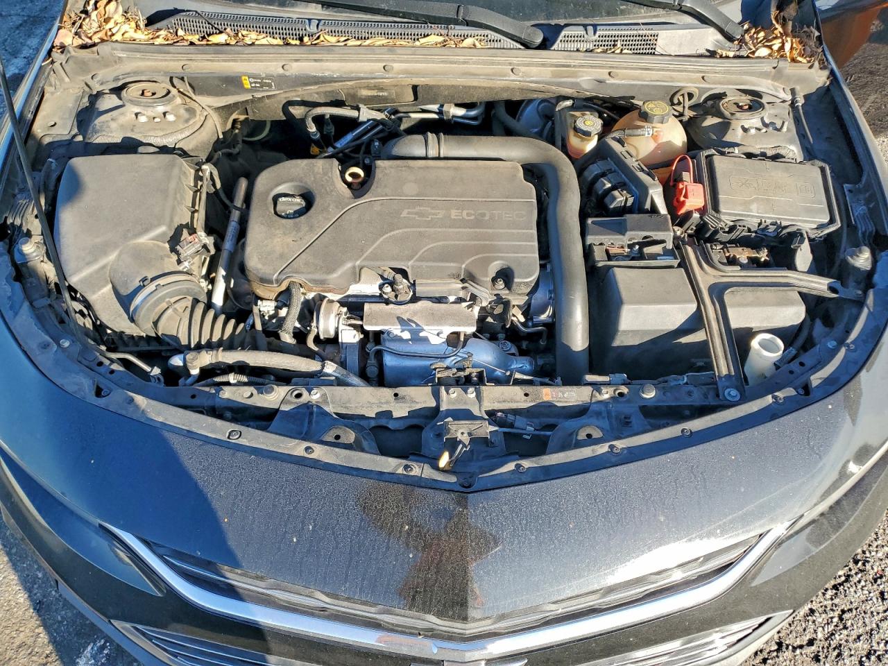 2016 CHEVROLET MALIBU LS photo 11