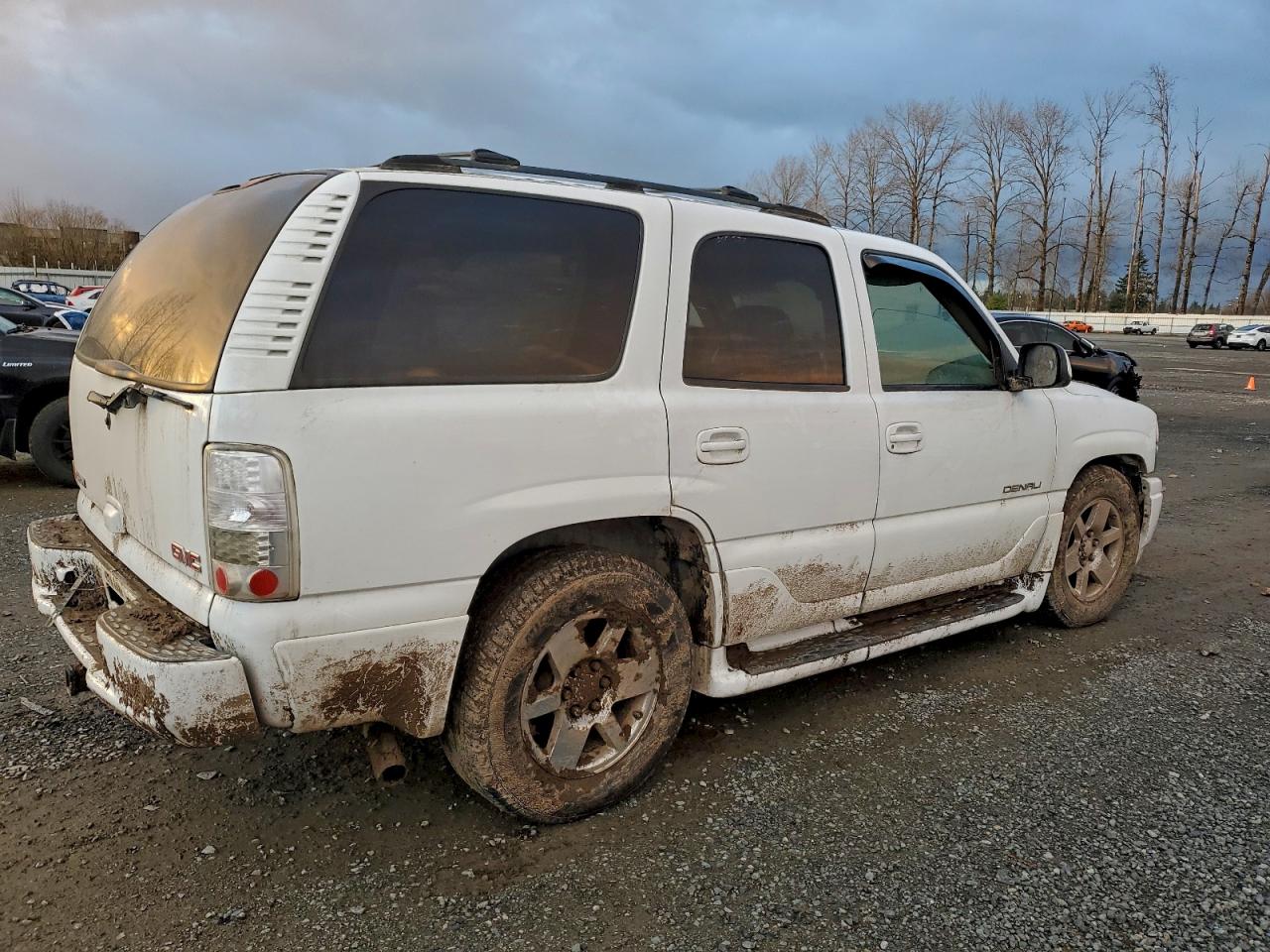2003 GMC YUKON DENALI photo 3