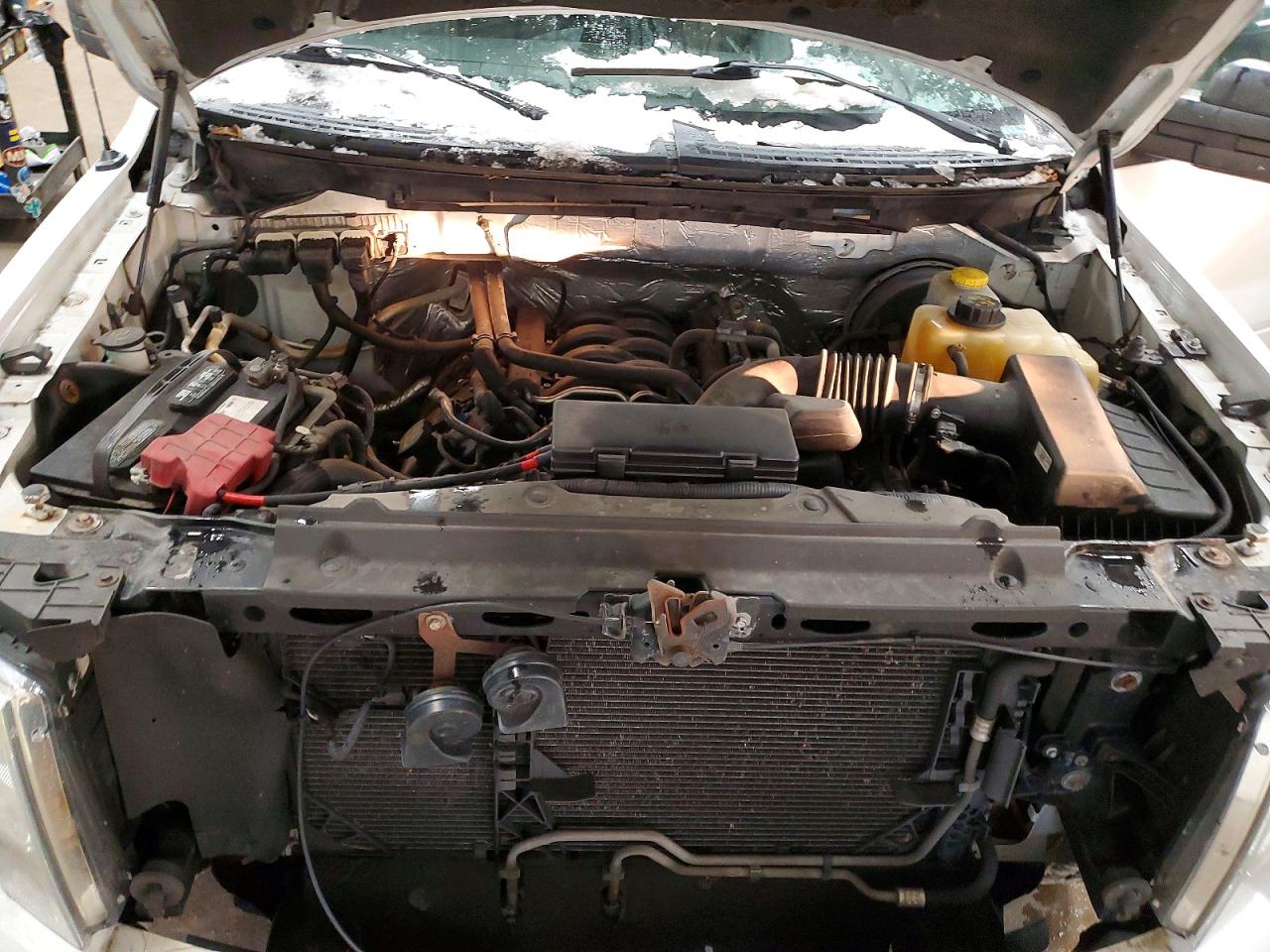 2014 FORD F150 photo 11