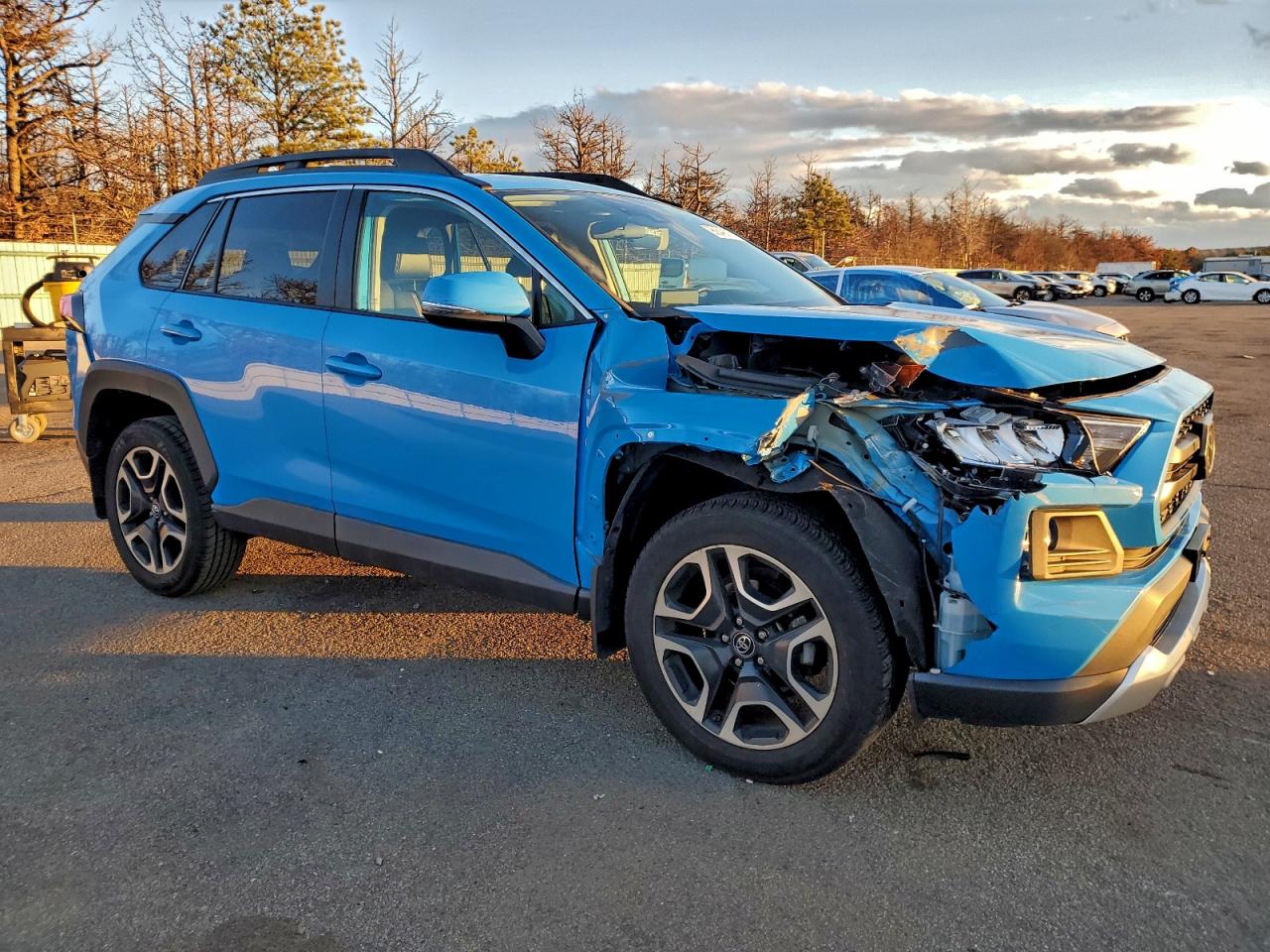 2019 TOYOTA RAV4 ADVENTURE photo 4