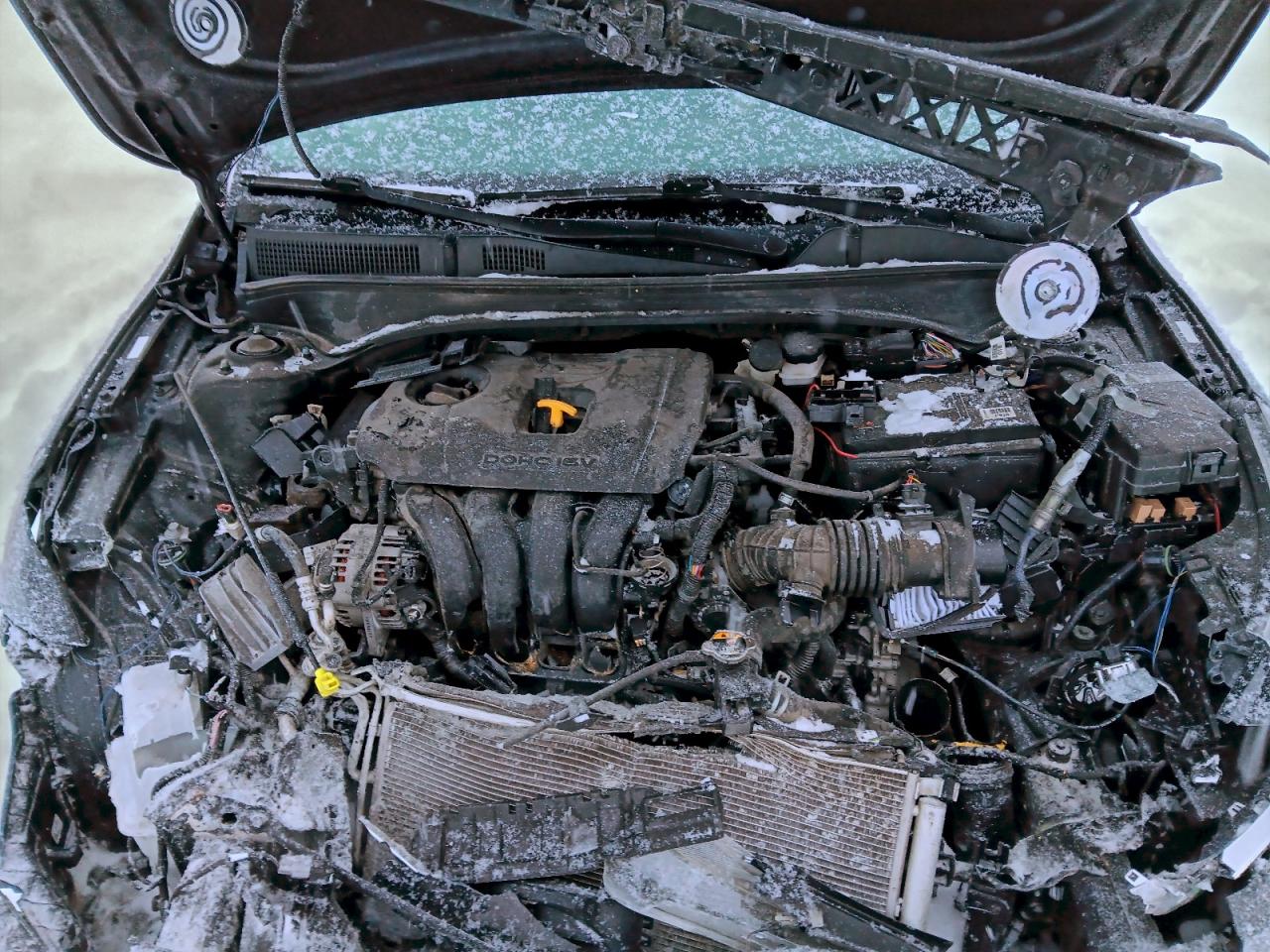 2019 KIA FORTE FE photo 11