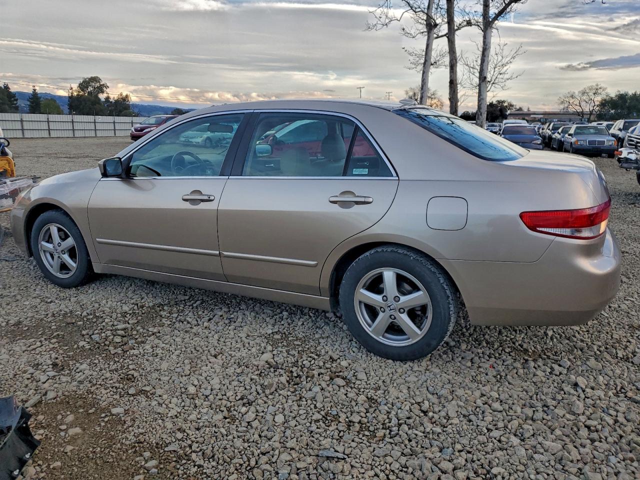 2004 HONDA ACCORD EX photo 2