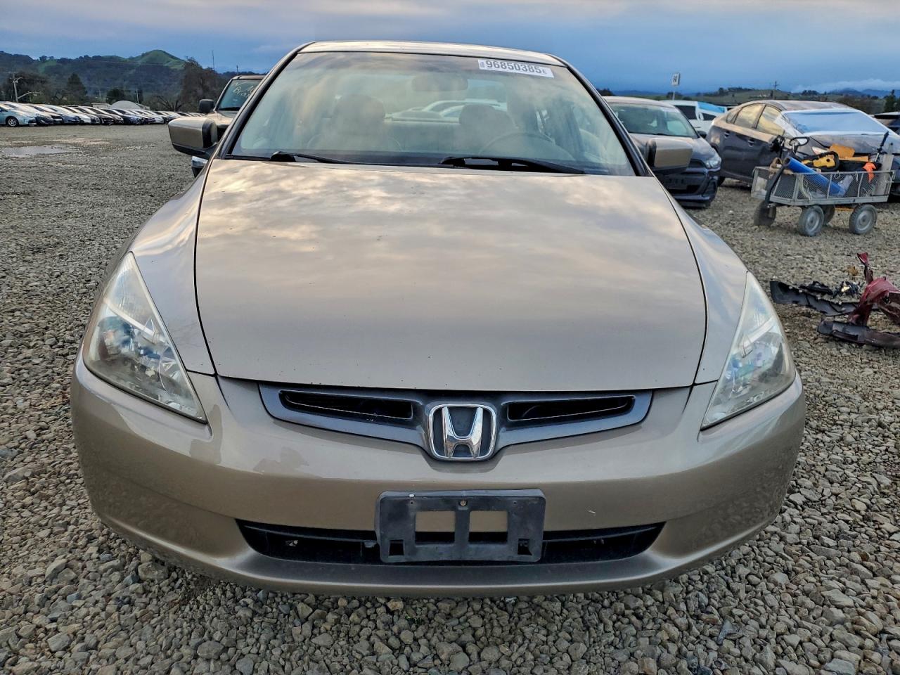 2004 HONDA ACCORD EX photo 5