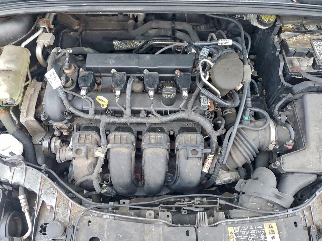 2015 FORD FOCUS SE photo 11