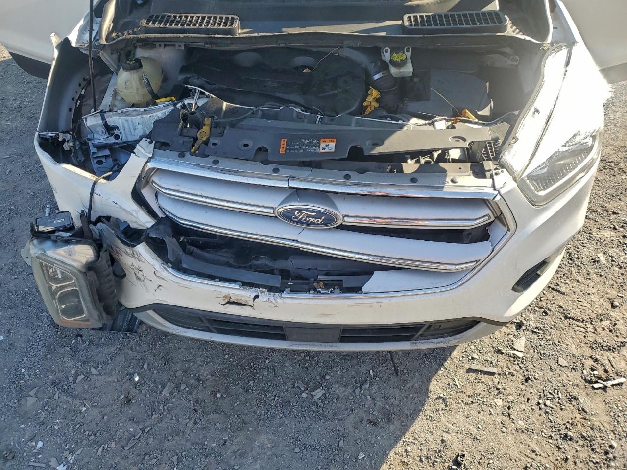 2019 FORD ESCAPE TITANIUM photo 12