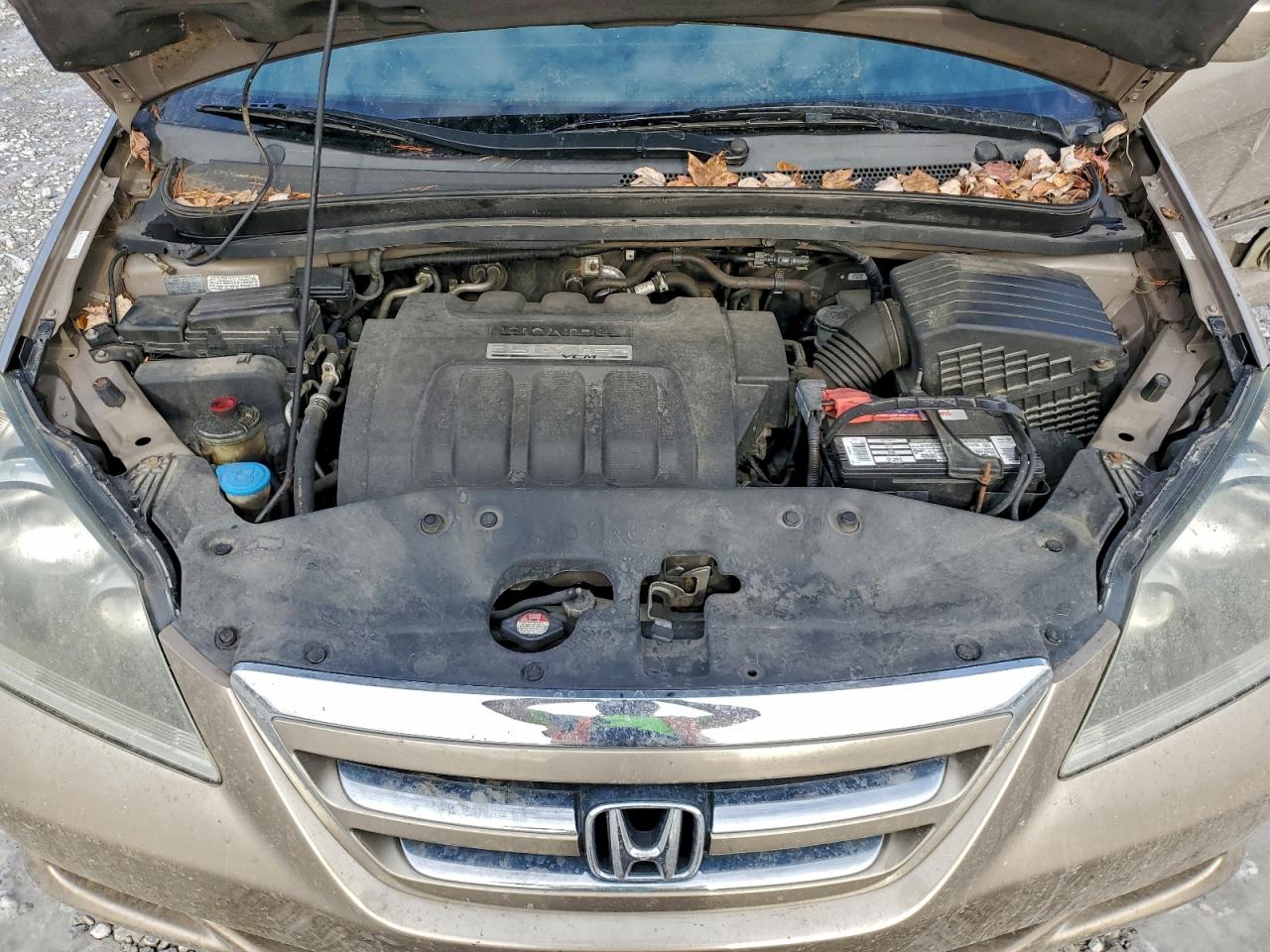 2006 HONDA ODYSSEY EXL photo 12