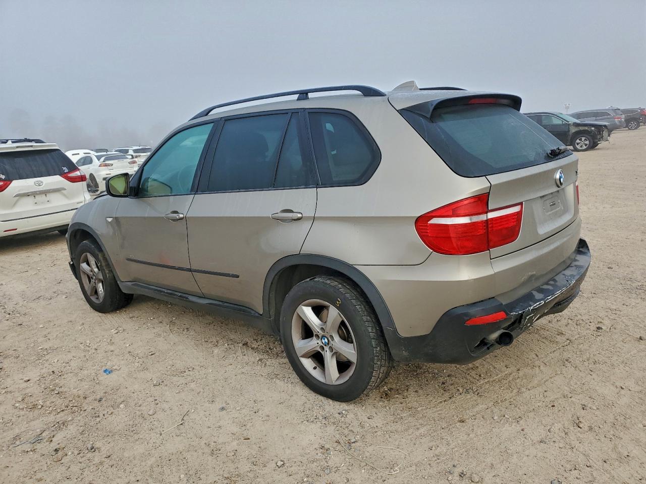 2009 BMW X5 XDRIVE30I photo 2