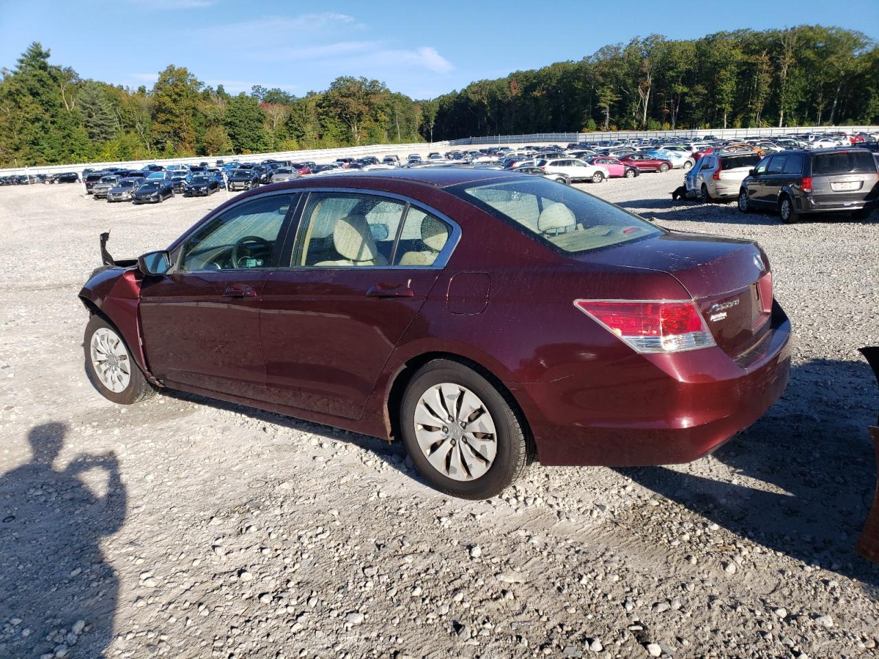 2010 HONDA ACCORD LX photo 2