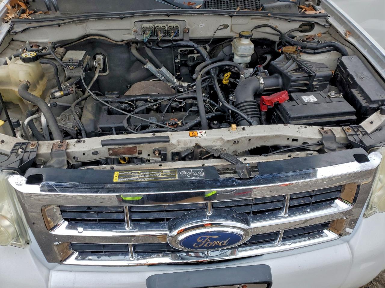 2008 FORD ESCAPE XLT photo 11