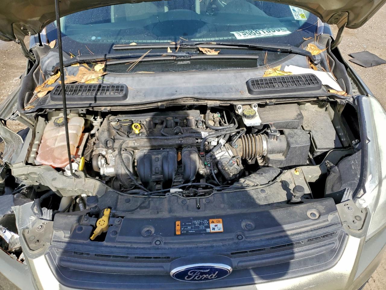 2014 FORD ESCAPE S photo 12