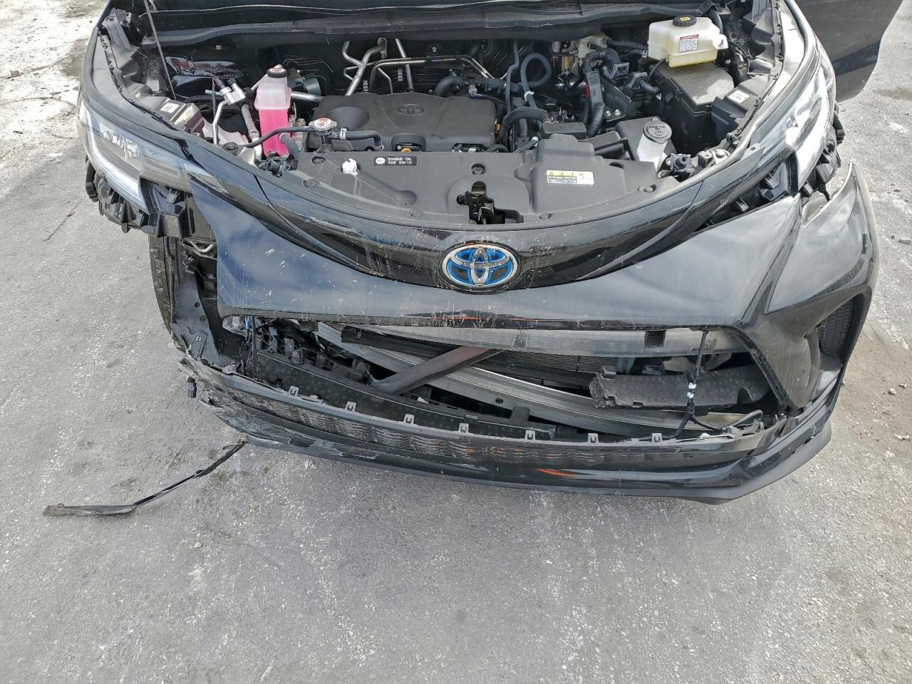 2025 TOYOTA SIENNA XSE photo 12