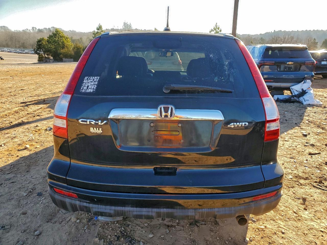 2010 HONDA CR-V EXL photo 6